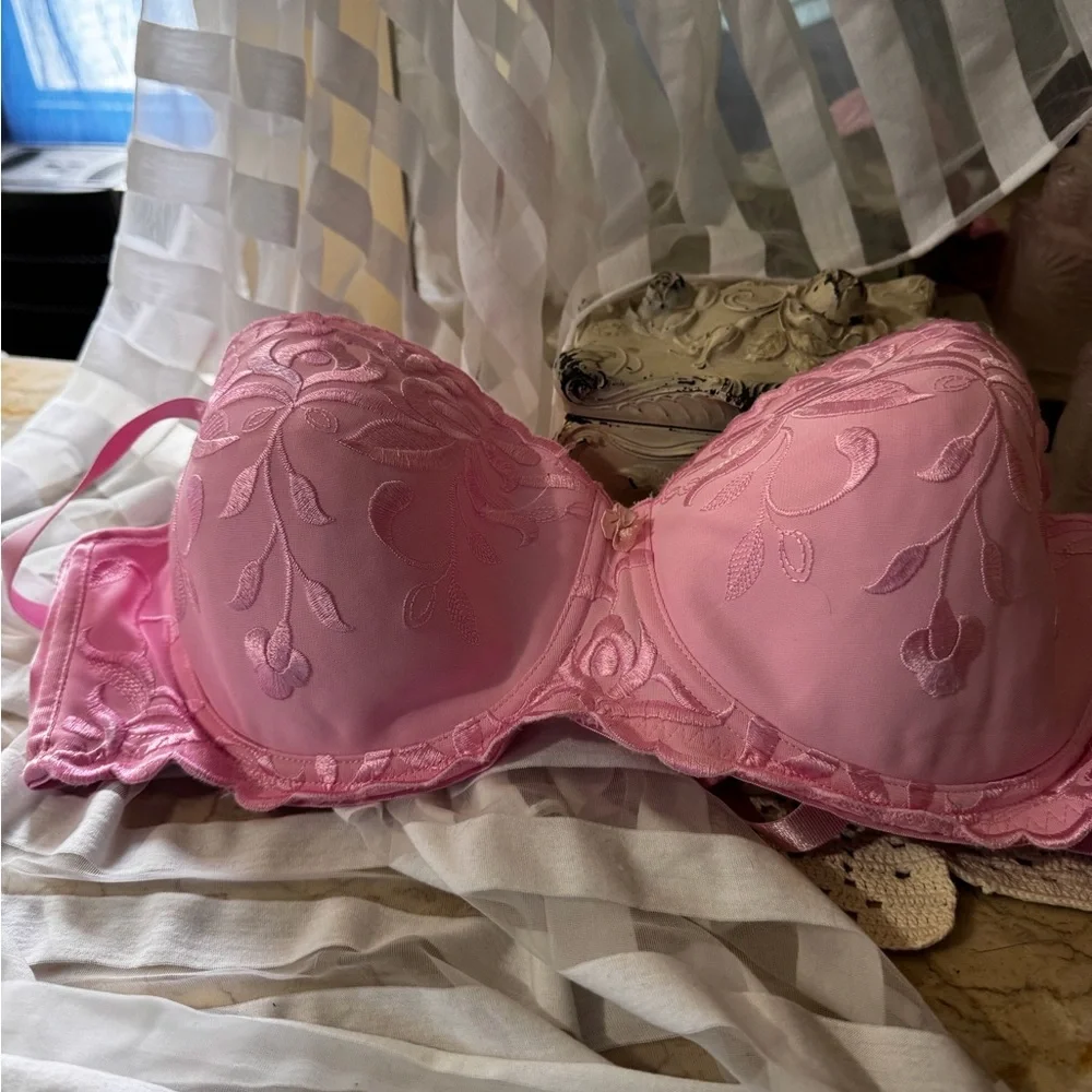 Pink Embroidered Bra — Supportive Sweetheart Silhouette - Picture 4 of 9
